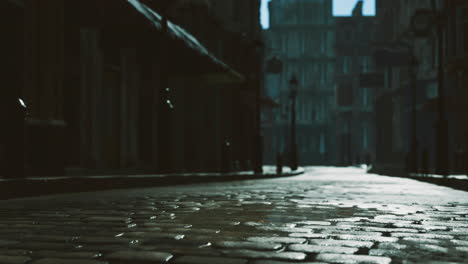 Mysterious cobblestone street illuminated by soft morning light in an old town