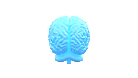 human brain 3d, seamless loop