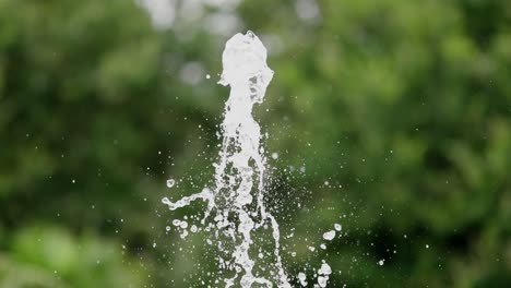 burst of water splashing upward with a blurred green natural background outdoors