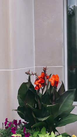 stone wall with flowers