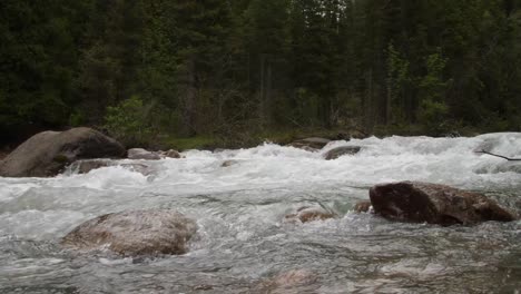 rivière au débit rapide au kirghizistan