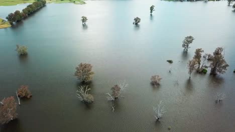 Drone-view-looking-down-over-the-swollen-floodplains-of-the-Mitta-Mitta-River-near-where-it-enters-Lake-Hume,-in-north-east-Victoria,-Australia