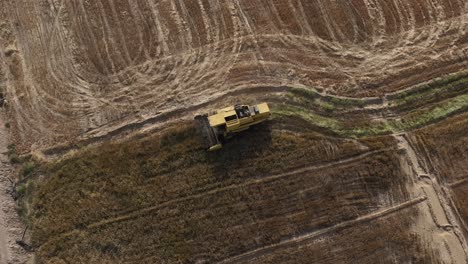 overhead aerial view of yellow combine harvester working in punjab field in pakistan