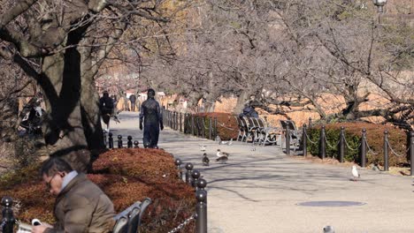 people walking, sitting, and enjoying a sunny park