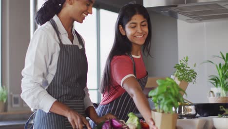 Video-of-happy-diverse-female-friends-cutting-vegetables-and-preparing-meal