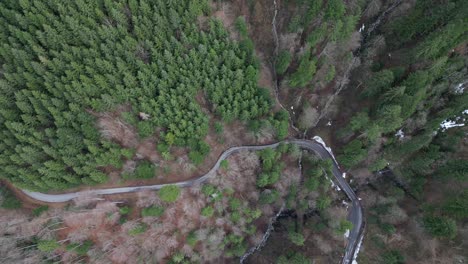 Fronalpstock-Glarus-Switzerland-remote-twisty-road-in-the-Swiss-Alps-forest