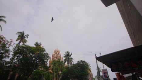 mumbai old british buildings - bmc office mumbai - goldy