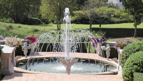 los ciclos de la fuente de agua a través de patrones en un jardín exuberante.