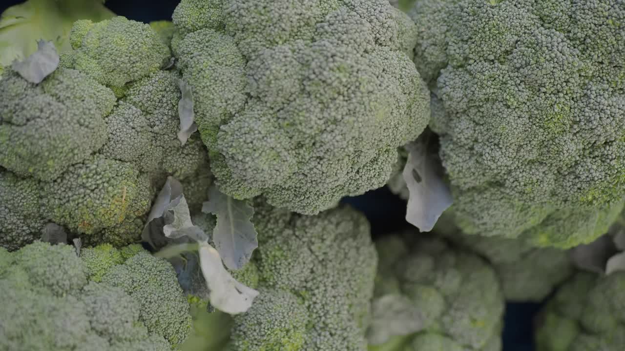 Close-up of Fresh Broccoli