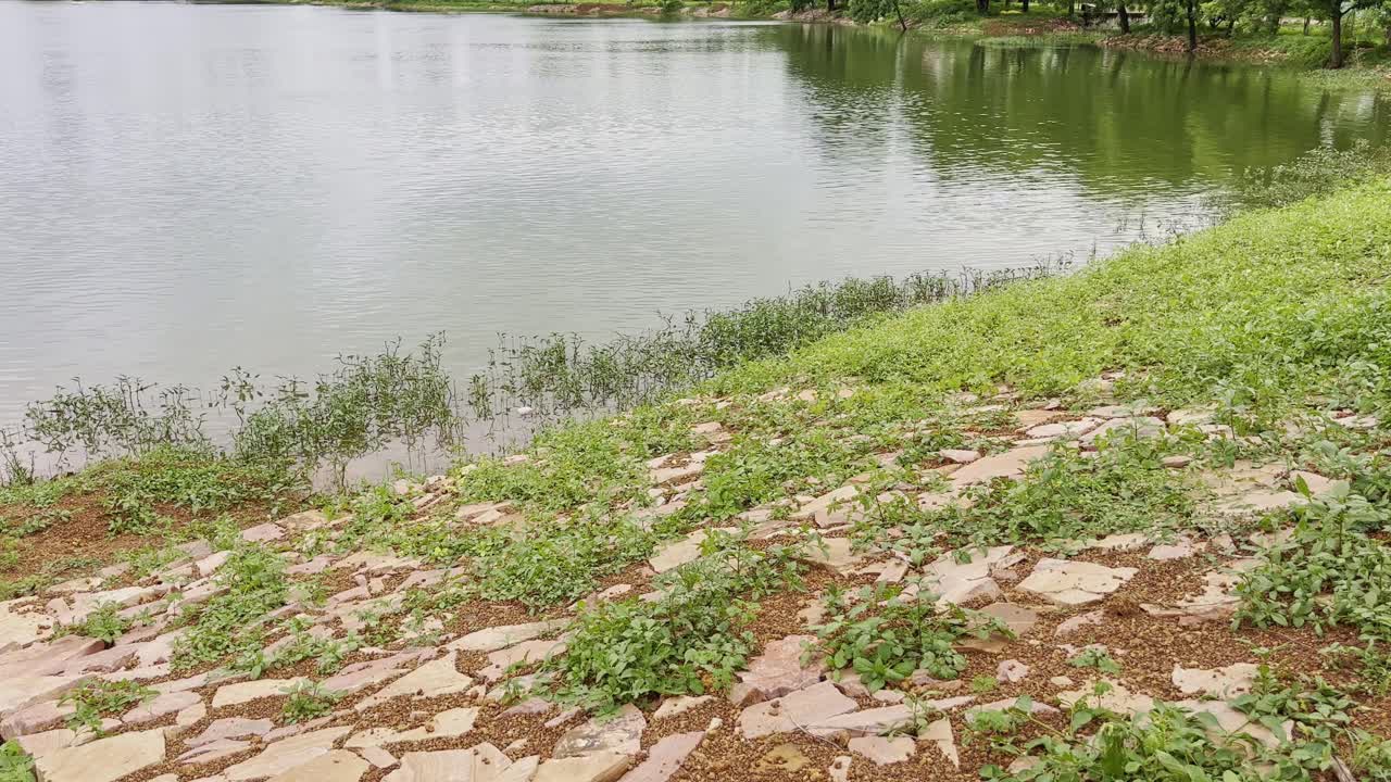 Static shot of a lake shoreline with rocks, soil, and patches of green vegetation leading into calm water