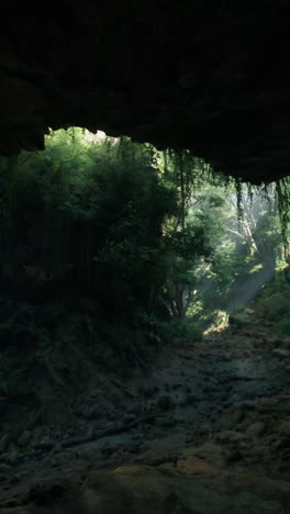 una cueva pintoresca llena de árboles exuberantes y rocas escarpadas