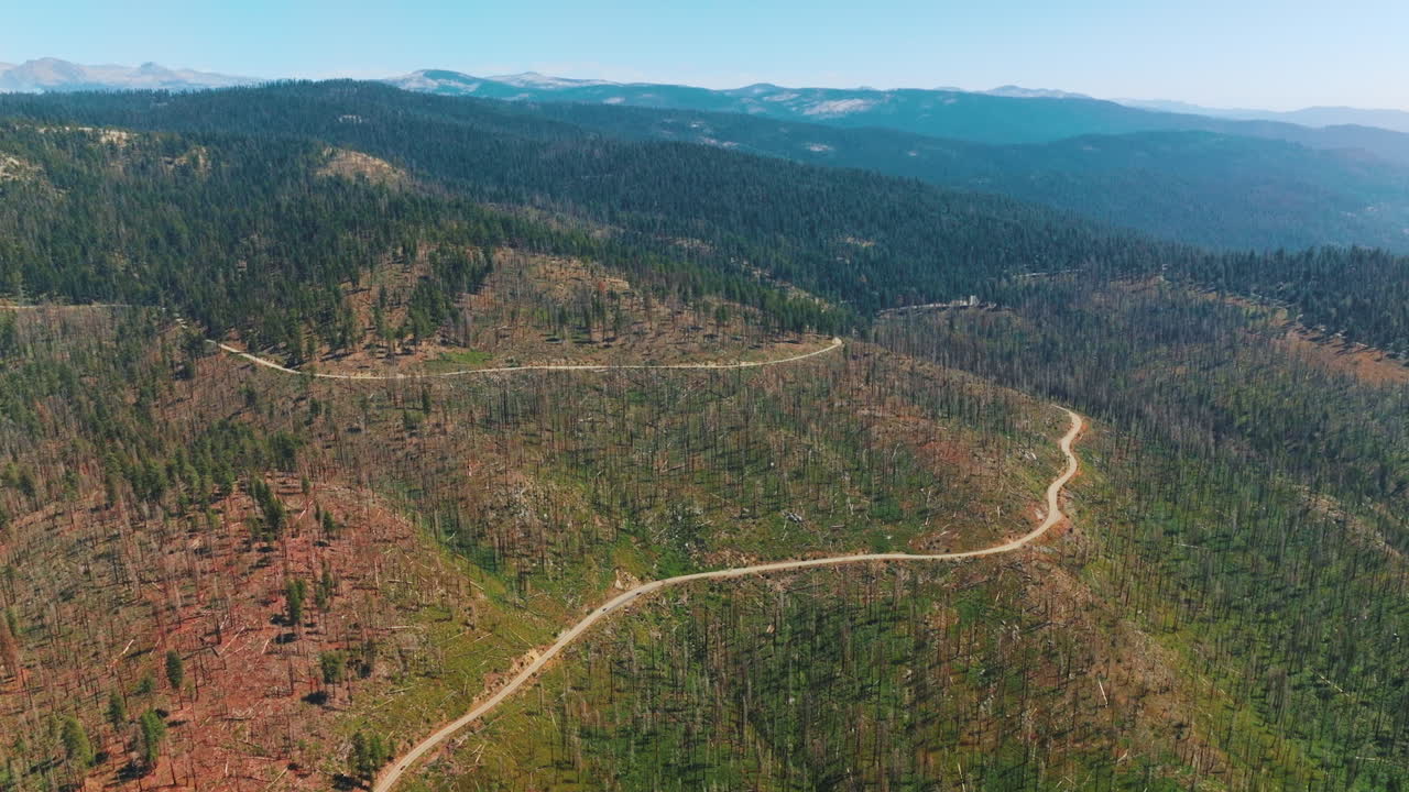Mountain Road through Burnt Forest