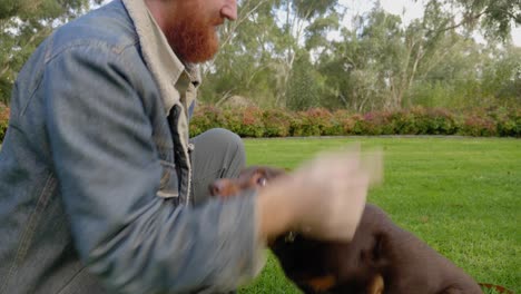 Un-Pelirrojo-Barbudo-Rasca-A-Su-Perro-Kelpie-Marrón