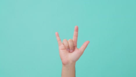 close up shot of human hand raising, making hand gesture love-you gesture or i love you hand sign emoji by raised index finger and little finger and a thumb. seen in isolate blue screen in background.