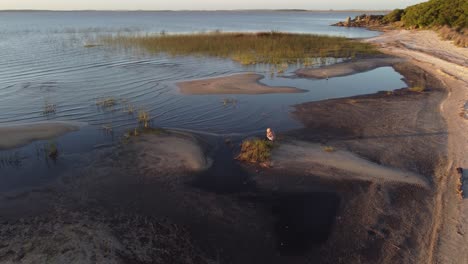 Aerial-orbit-shot-of-person-at-lake-shore-taking-photos-of-beautiful-landscape-with-grass-and-sunset