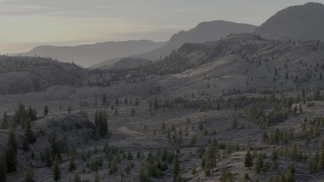 Aerial Revelations of Lac Du Bois' Natural Harmony