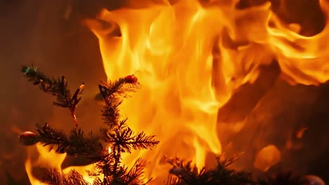 a christmas tree burning in a fire