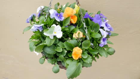 a colorful hanging basket of flowers