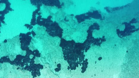 Clear-Blue-Bottom-of-Ionian-Sea-at-Ksamil,-Albania---Overhead-Ascending