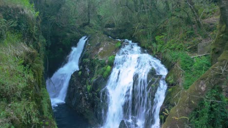 fly away at santa leocadia waterfall in tropical forest near mazaricos in galicia spain