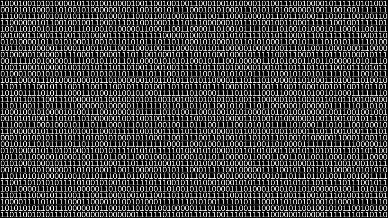 Machine code information data