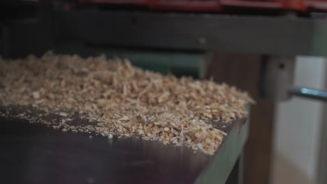 oak sawdust on table of planer thicknesser machine