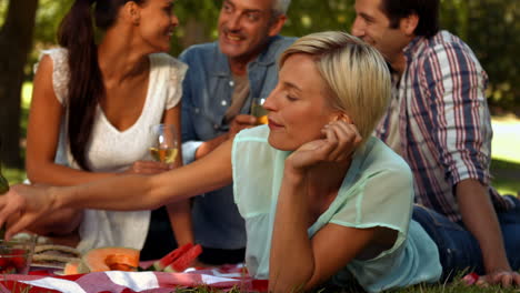 Glückliche-Paare-Bei-Einem-Picknick