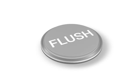 flush button