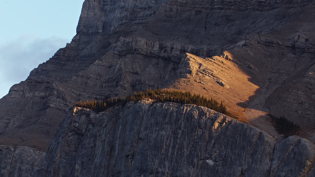 bosque en la región alpina de una montaña