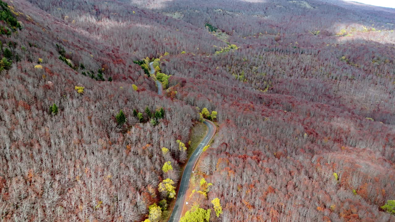 Aerial view of colorful autumn forest with winding road below