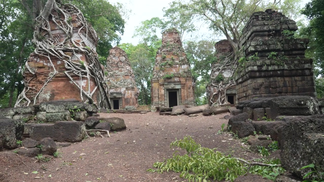 Anciennes tours de temple khmères entourées par la jungle à Koh Ker, Cambodge.