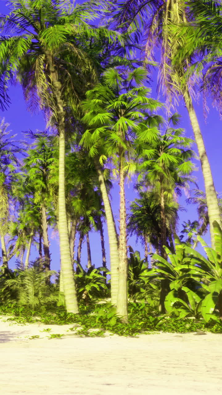 Lush tropical oasis on a sunny beach with swaying palm trees and blue skies