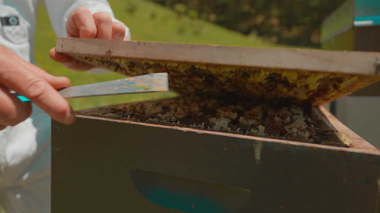 강철 도구, 꿀 생산 개념으로 벌집을 여는 양봉가