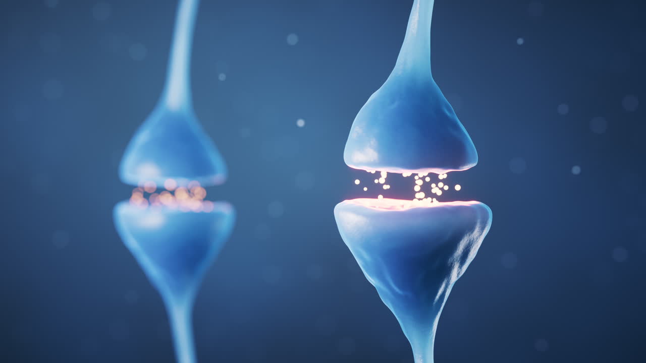 신경 세포의 시스, 생물학 개념, 3d 렌더링