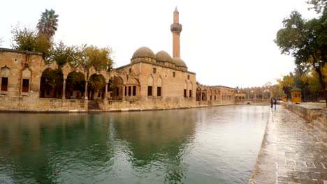 fog on balikligol pool of sacred fish winter view sanliurfa