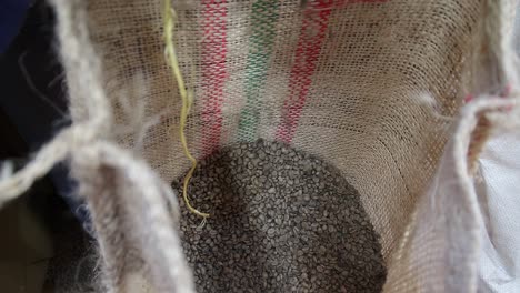 unroasted coffee beans dropping into a large storage sack