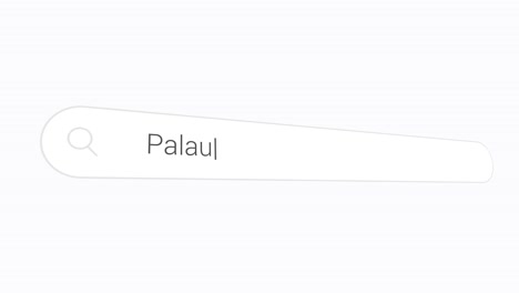 searching and typing palau in the internet browser - close up