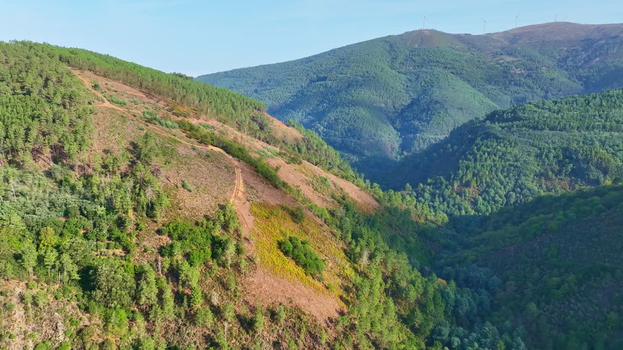 Aerial View of a Deforested Mountainside
