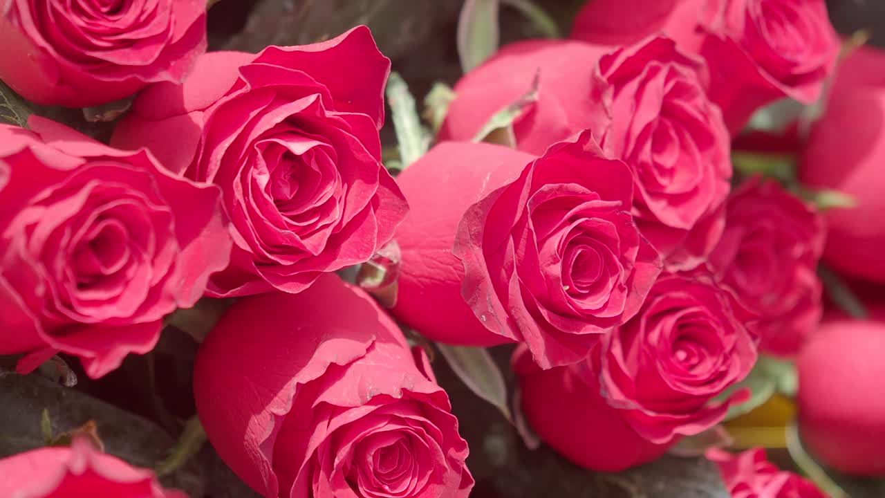 Close-up of a bouquet of red roses