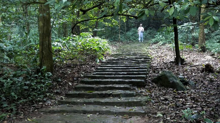 Giovane donna che scende le scale in un'area forestale del Parco Nazionale di Ba Vi
