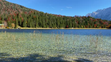 colorful panning shot of the ferchen lake with the golden autumn forest and peaks of karwendel mountains in the background, very close to the bavarian town of mittenwald in germany