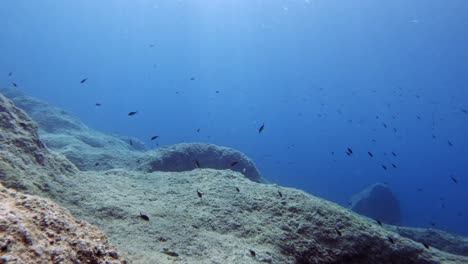mesopelagic area of paralia emplisi beach in greece where many small fishes swims just above the submersed rocks- underwater shot