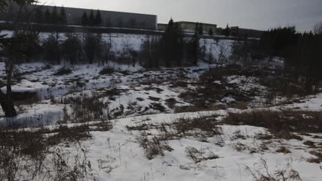 field with trees and grasses covered by thick ice during winter season - pan wide shot