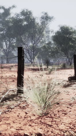 a wooden fence post stands in a field of red dirt, with trees in the distance