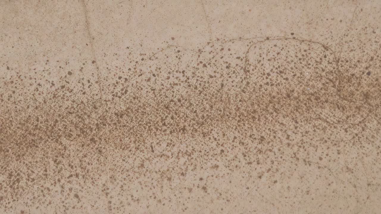 Showing open human palm tilting slightly in room, shifting brown granular particles diagonally