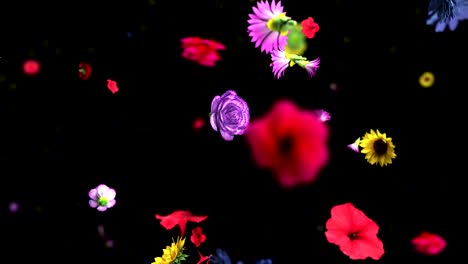 grandes flores coloridas en el fondo en 4k