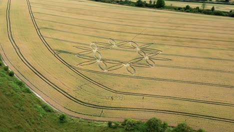 Aerial-View-Of-Flower-shaped-Crop-Circles-On-Agricultural-Farm-In-Warminster,-England