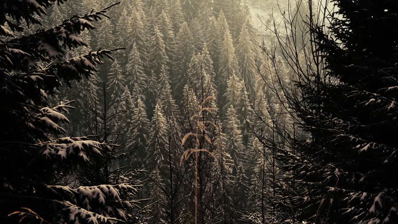 mañana nublada en la montaña rumana