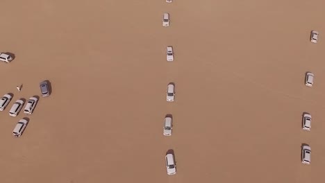 cars in a desert pattern