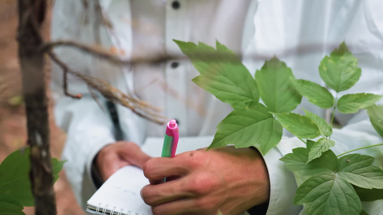 Hand view of researcher writing detailed notes on jotter with pen in forest, documenting ecological observations among fresh green leaves and natural environment during scientific field study